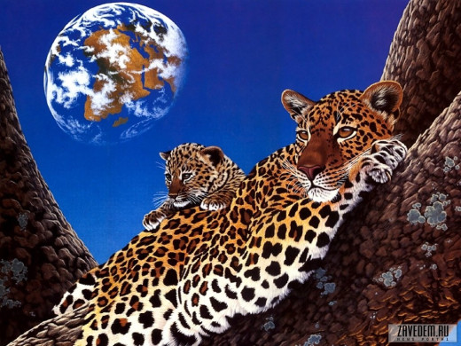314695 (a): :1024x768